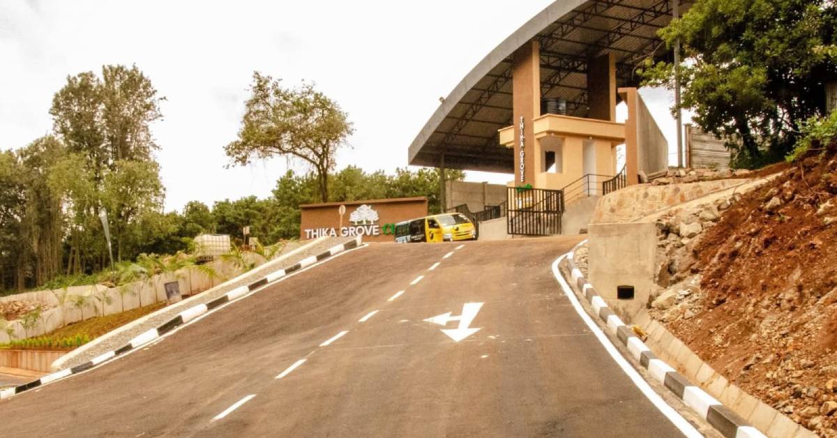 Thika Grove Chania 2