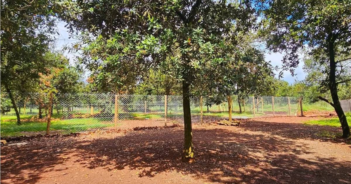 Thika Grove Chania 3