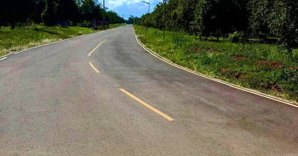 Thika Grove Chania 6