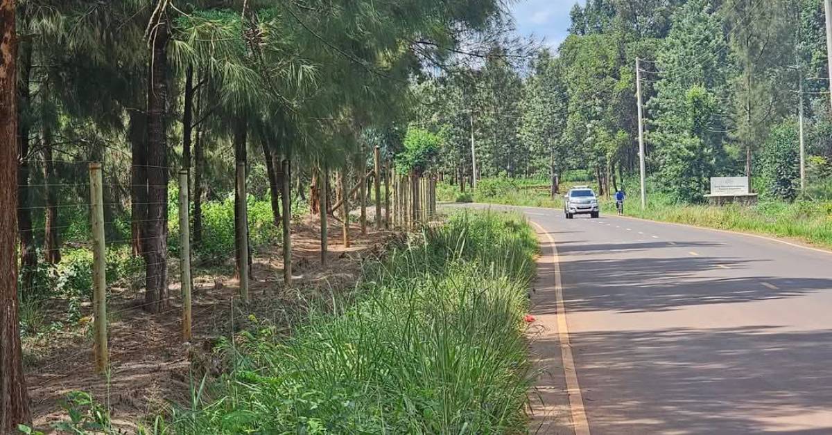 Vantage View Estates - TheStar Real Estates 3 Vantage View Estates - TheStar Real Estates 3