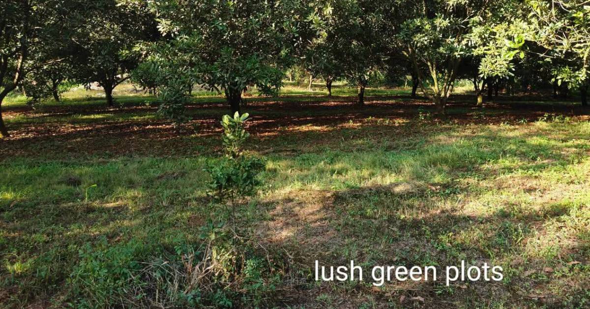 Vantage View Estates - TheStar Real Estates Vantage View Estates - TheStar Real Estates