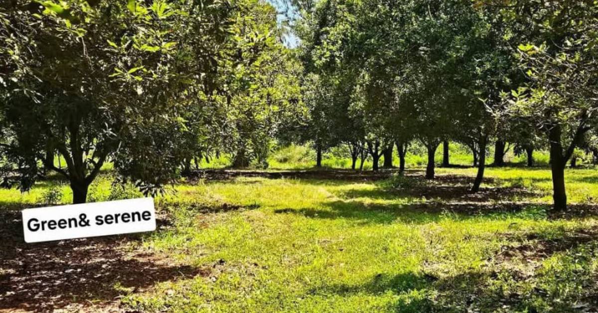 Vantage View Estates Vantage View Estates